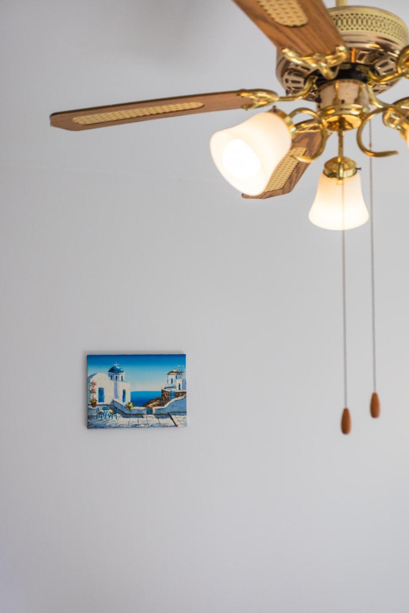 Regina Gardens Lovely Apartment 파포스 외부 사진